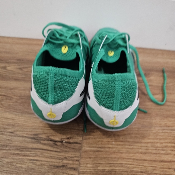New Nike Tiempo Legend 10 Elite FG Stadium Green Soccer Cleats Mens 7.5/Womens 9 main image 4